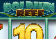 Dolphin Reef